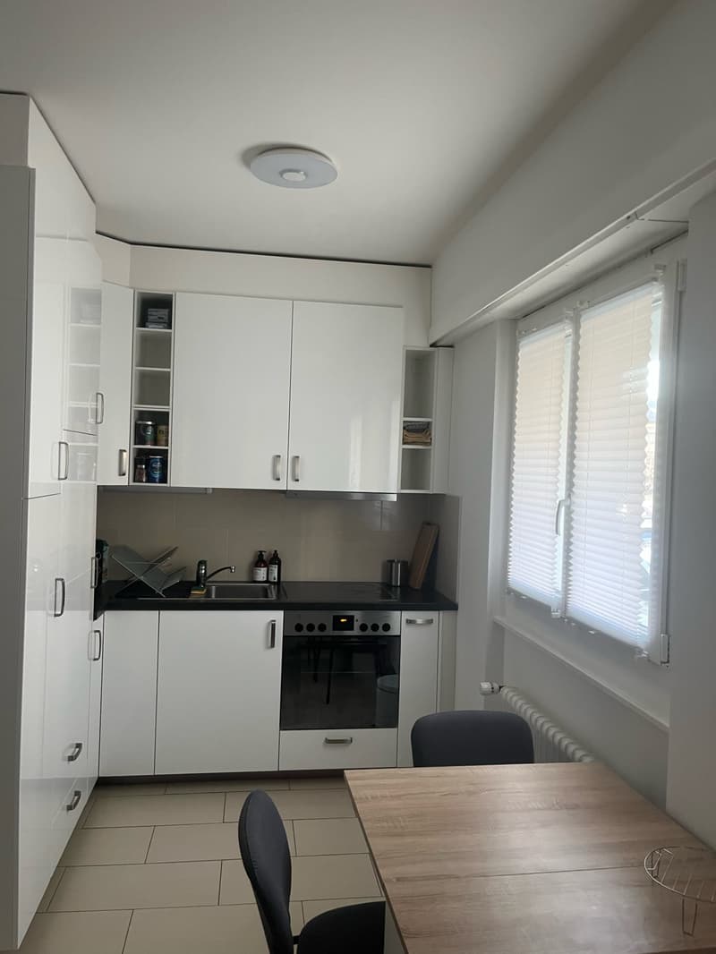 Charmant appartement de 1.5 pièces à Lausanne (Malley) (2)