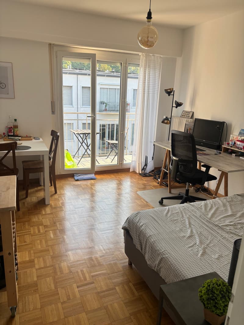 Charmant studio avec balcon au 4ème étage à Lausanne (2)