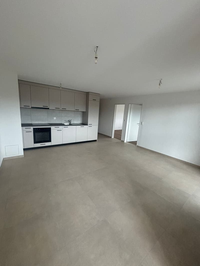 Charmant appartement en attique de 3.5 pièces à Chavannes-près-Renens (1)