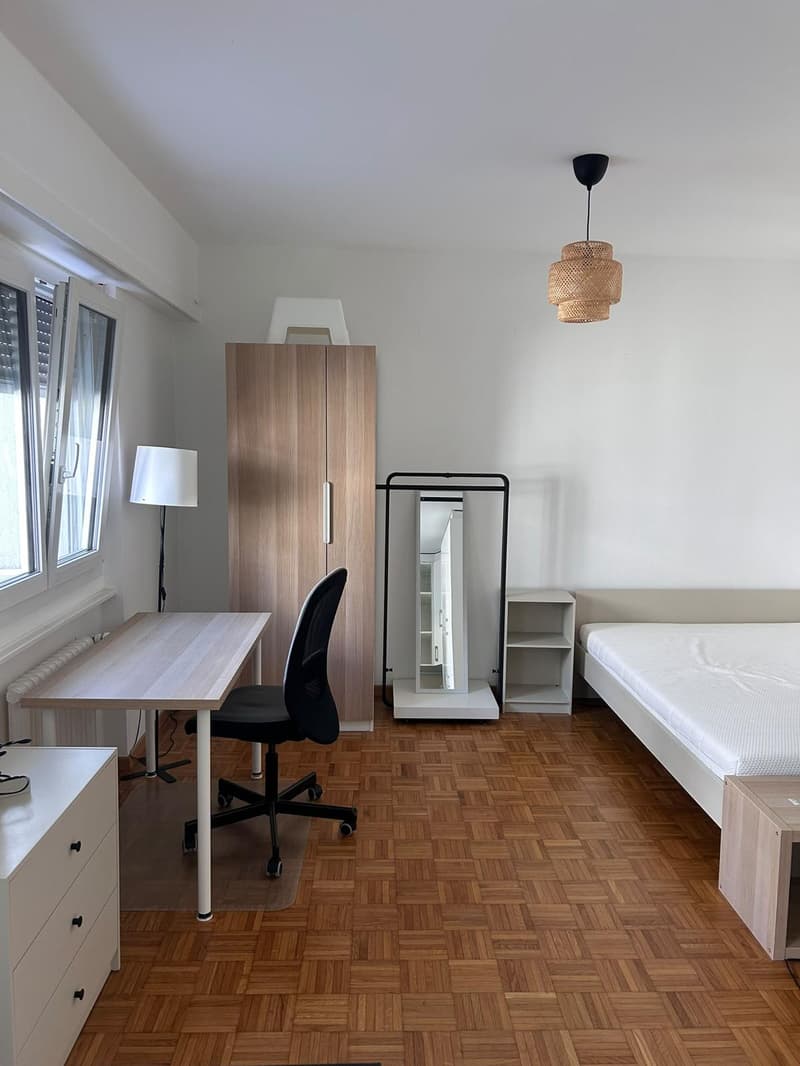 Charmant studio à louer à Lausanne (1)