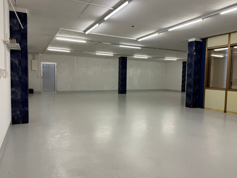Empty room with white walls, concrete floor, fluorescent ceiling lights, white door, blue pillars