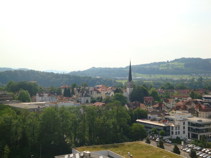 Helle, grosszügige 1 1/2-Zi-Whg (40 m2), sonniger Balkon mit Bruggenblick (Nr. 19) (1)