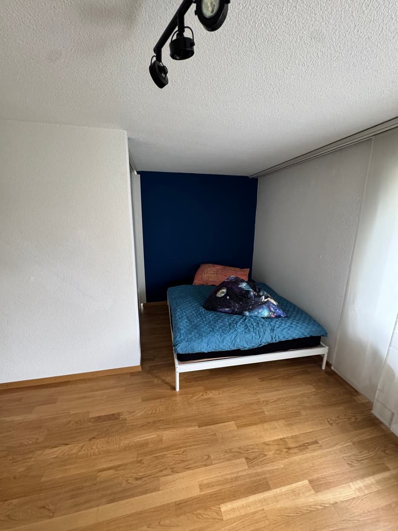Gemütliche, ruhige 2-Zimmer-Wohnung mit Balkon in Frauenfeld (4)