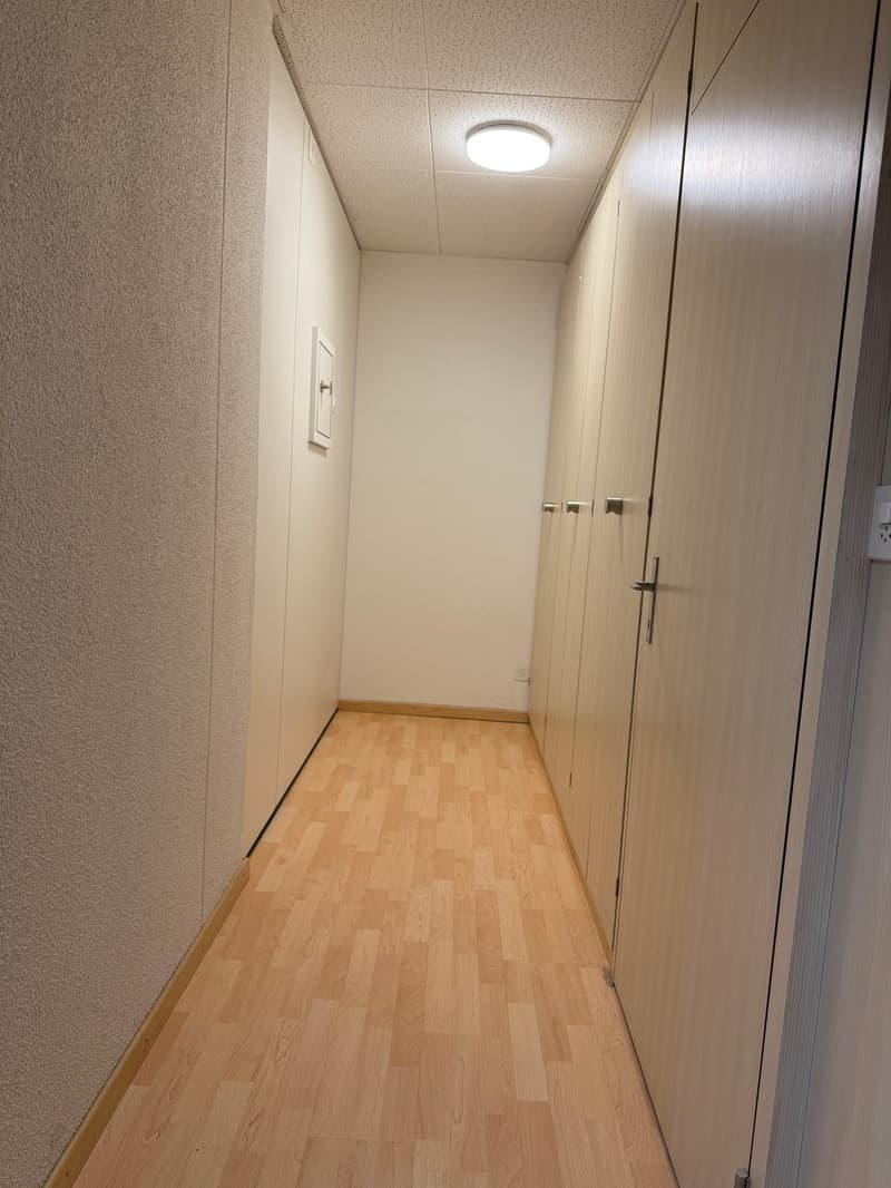 Exklusive Büroräumlichkeiten mit schönem Ausblick in Freienbach (7)