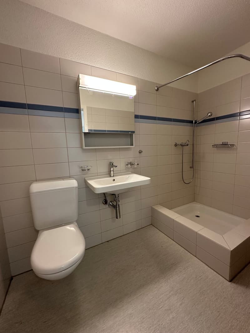 Helle 2.5-Zimmer-Wohnung mit Balkon und schöner Aussicht in St. Gallen (8)