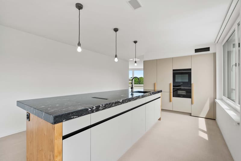 Moderne 4.5-Zimmer-Terrassenwohnung im Neubau Am Waldegg im 5. OG, Whg. 5.5 (5)