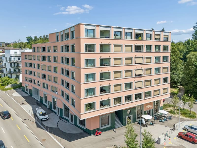 Moderne 4.5-Zimmer-Terrassenwohnung im Neubau Am Waldegg im 5. OG, Whg. 5.5 (2)