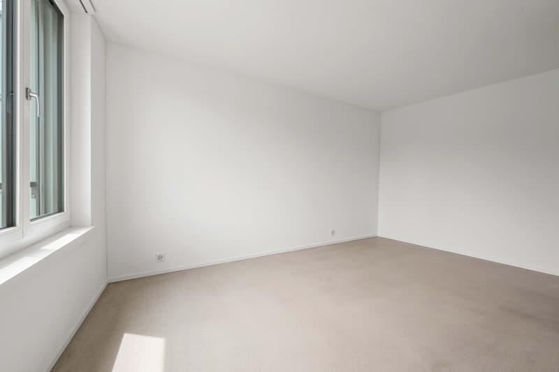 Moderne 4.5-Zimmer-Terrassenwohnung im Neubau Am Waldegg im 5. OG, Whg. 5.5 (14)