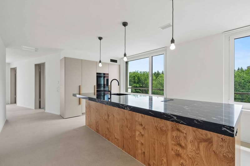 Moderne 4.5-Zimmer-Terrassenwohnung im Neubau Am Waldegg im 5. OG, Whg. 5.5 (4)