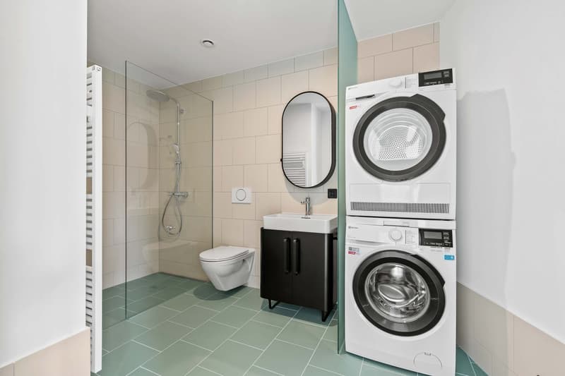 Moderne 4.5-Zimmer-Terrassenwohnung im Neubau Am Waldegg im 5. OG, Whg. 5.5 (16)