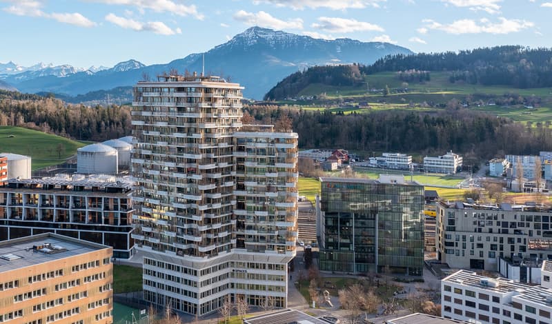 Exquisit Wohnen im steuergünstigen Kanton Zug mit Panoramablick (1)