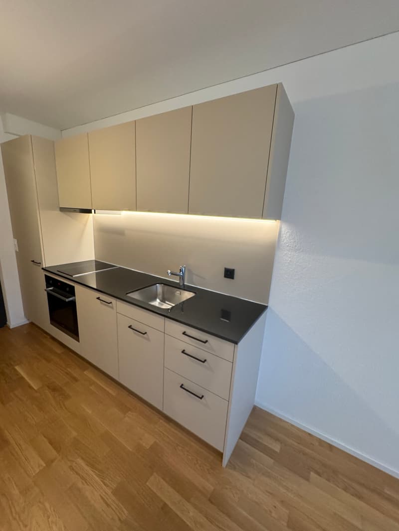 Moderne 1-Zimmer-Studio-Wohnung in Rebstein (1)