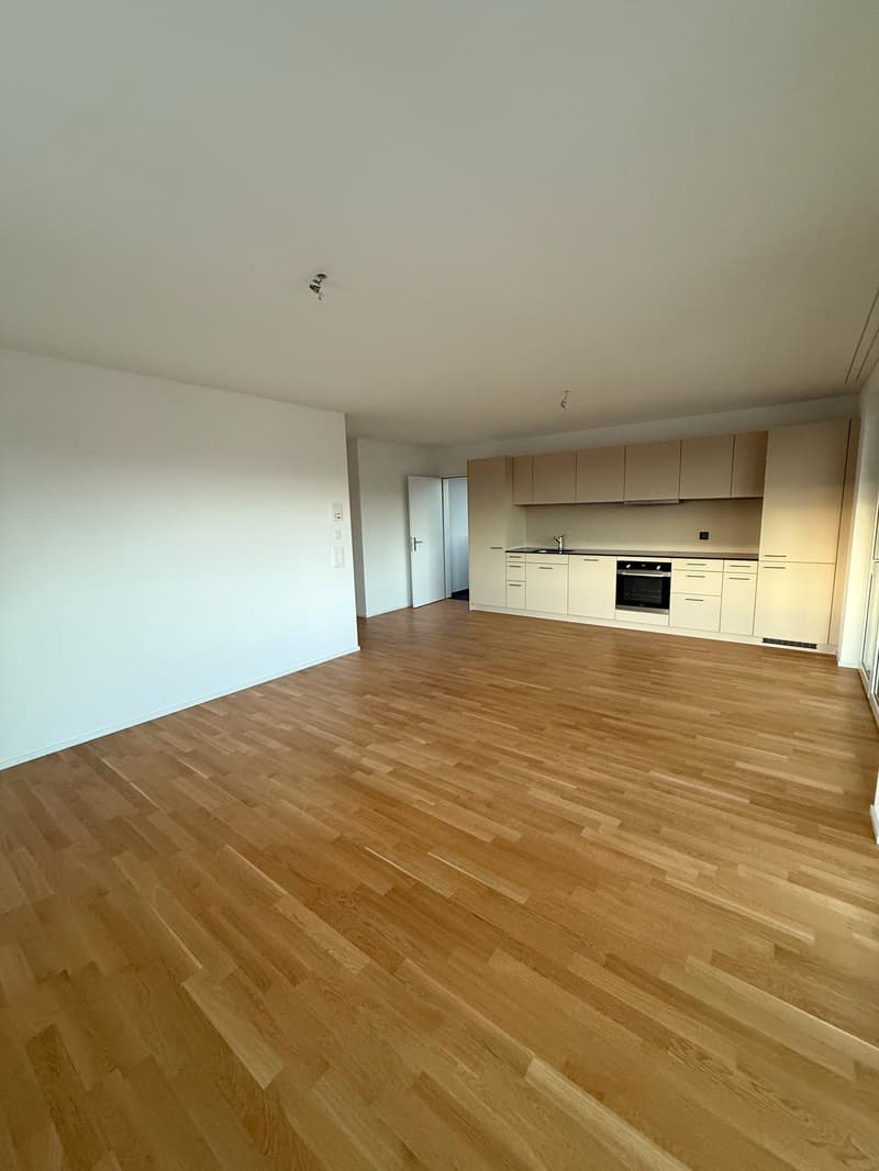 Moderne 3.5-Zimmer-Dachwohnung in Rebstein - Neubau 2023 (1)