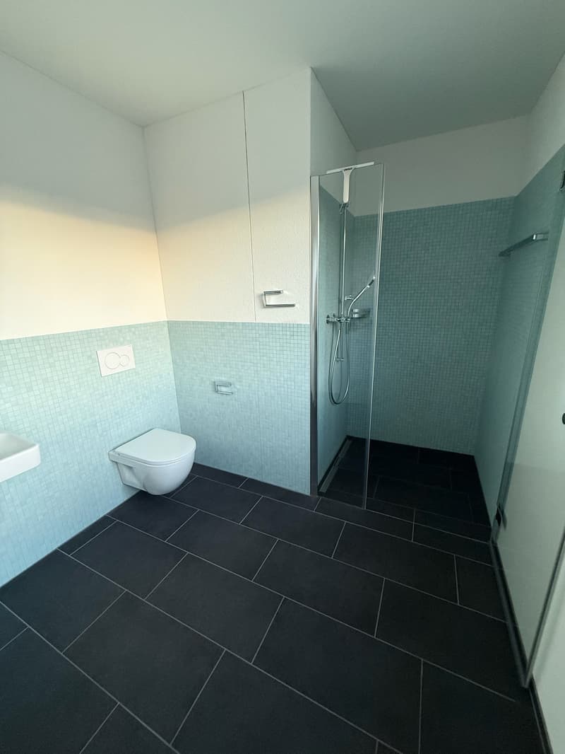 Moderne 3.5-Zimmer-Dachwohnung in Rebstein - Neubau 2023 (2)