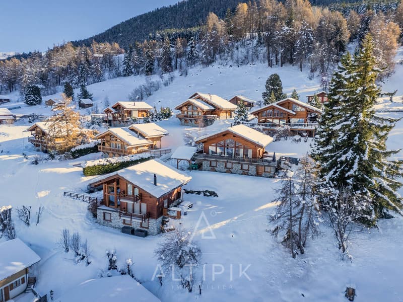 Chalet avec vue incroyable - disponible aux étrangers (3)