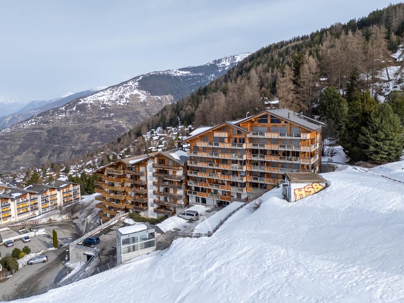 Appartement sur la piste de Nendaz - 4 Vallées (4)