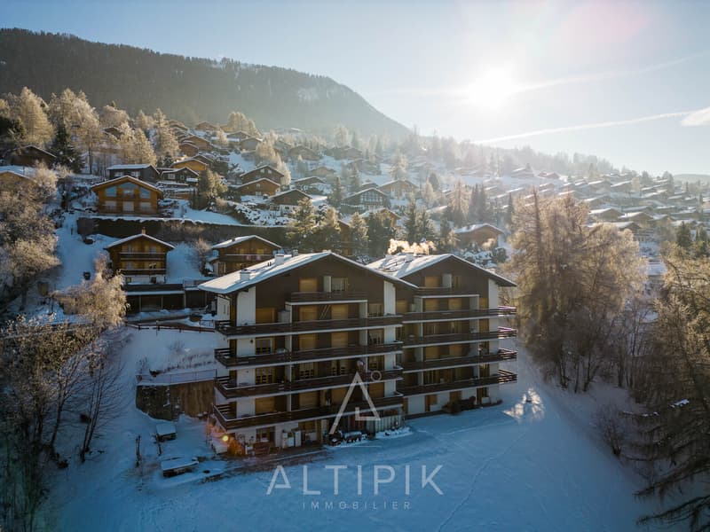 Appartement au calme à 500m de la télécabine, vue incroyable (7)