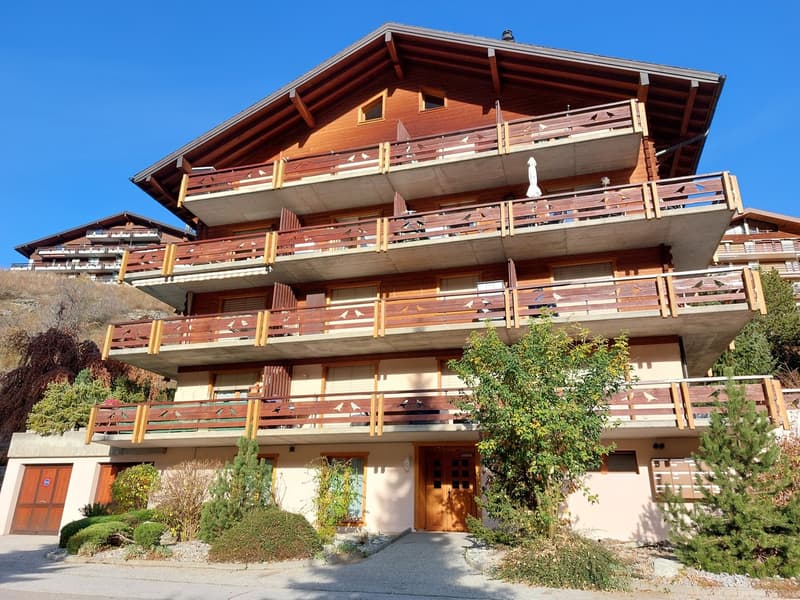 Charmant 2 pièces au coeur de Haute-Nendaz - 4 Vallées (11)