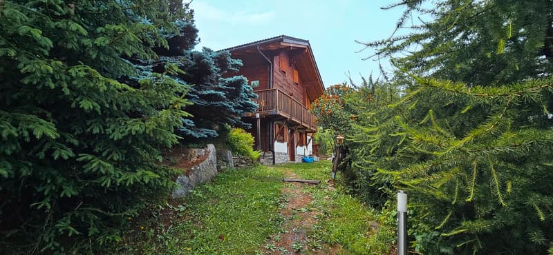 Chalet L'Aïeul - Authentique à louer pour la saison (9)