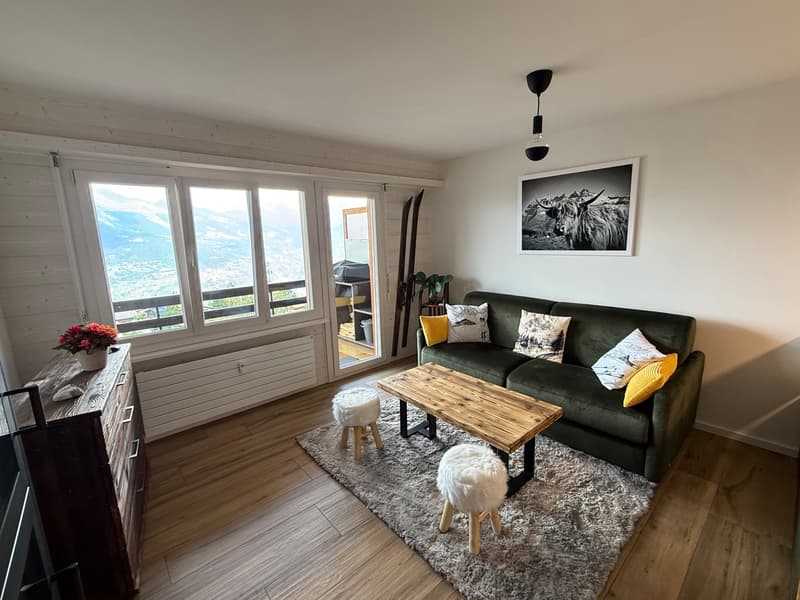 Appartement rénové 1 chambre à la saison - Haute-Nendaz (2)
