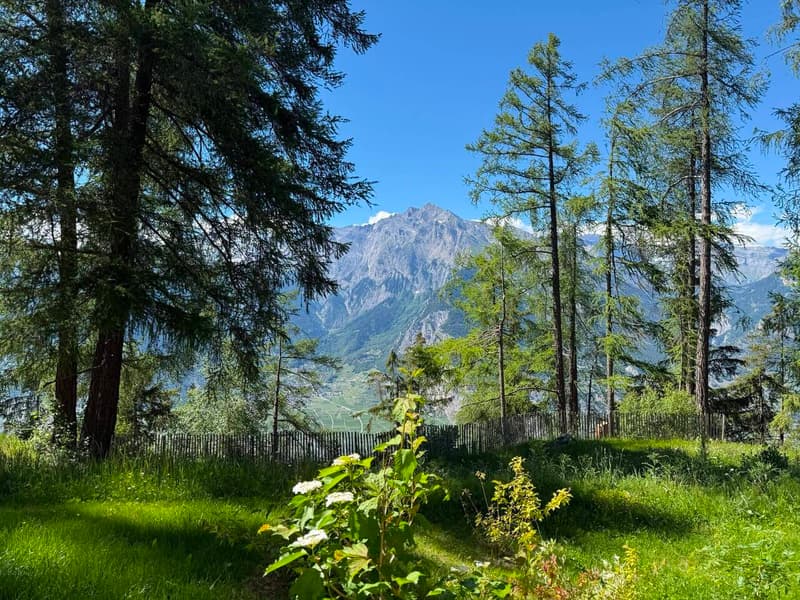 Grand chalet moderne à louer pour la saison d'hiver - Haute-Nendaz (9)