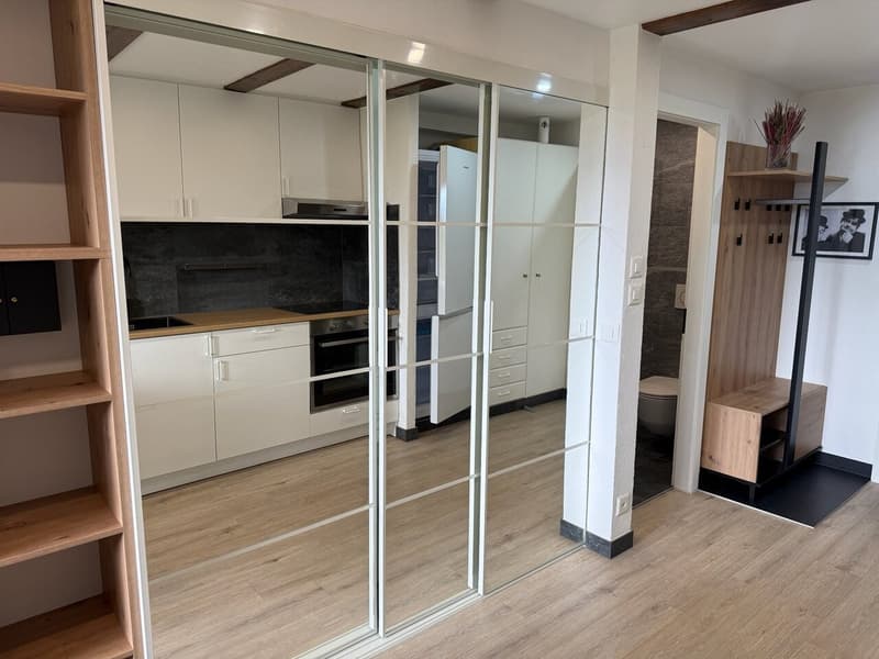 Joli studio avec espace nuit séparé et jardin - à l'année - Nendaz (4)