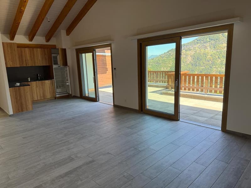Appartement Le Rocher, 1 chambre à l'année, non meublé (3)