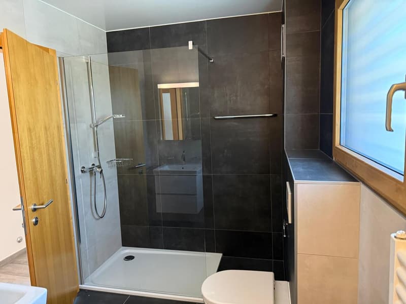 Appartement Le Rocher, 1 chambre à l'année, non meublé (6)