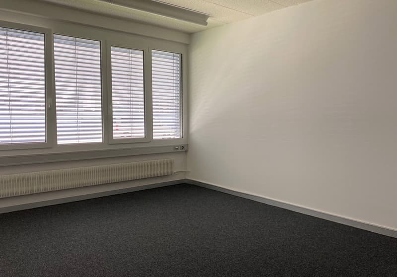 an empty room with gray carpeting, white walls, large windows with blinds, and a white radiator