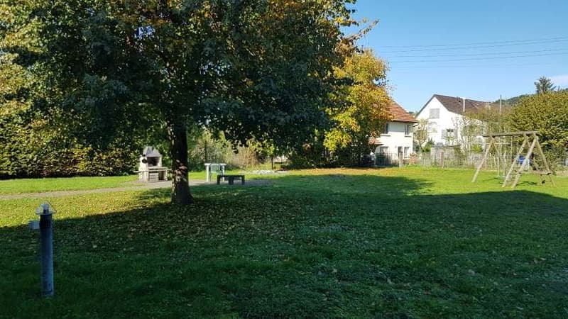 Garden with a big tree, barbecue, swing, table and bench, green lawn, trees and shrubs