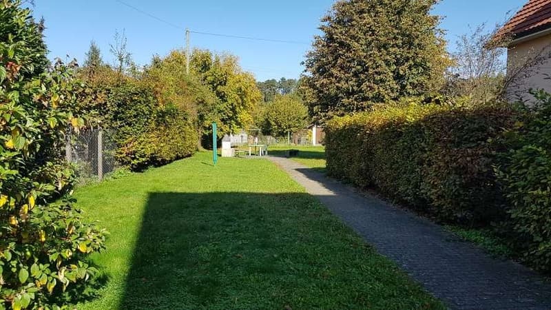 Well maintained grass lawn, path, outdoor seating area, hedges
