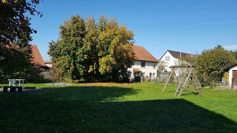 wide lawn with a tree, wooden swing set, benches