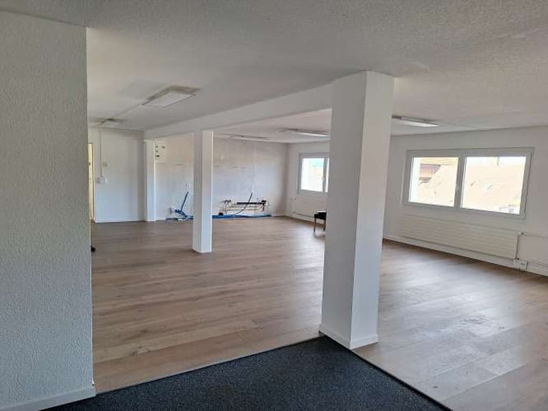 empty room, hardwood floors, white walls, two windows, ceiling lights, floor radiators