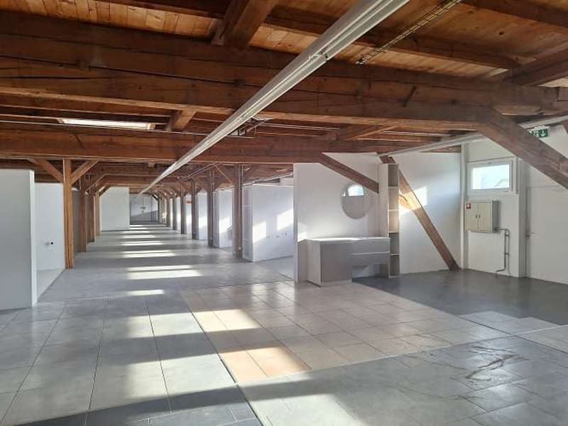Wide open space, large wooden beams, tiled floor, white walls, natural light, long corridor, cabinets, small round mirror, windows