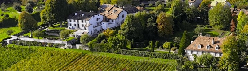 Vieux château avec un parc de 10 500 m², nouveau prix de vente ! (3)