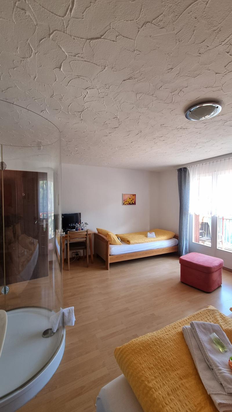 Multifunktionale Liegenschaft mit 540 m2 Nutzfläche, 40 Min von Zermatt (15)