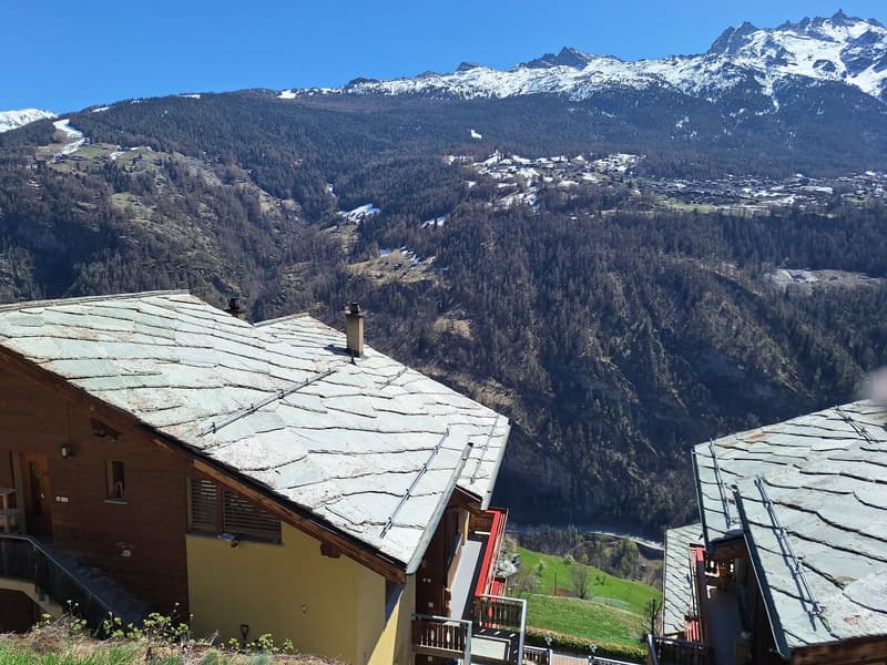 Multifunktionale Liegenschaft mit 540 m2 Nutzfläche, 40 Min von Zermatt (37)
