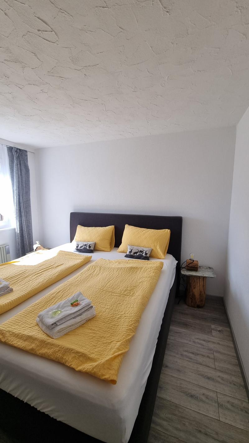 Multifunktionale Liegenschaft mit 540 m2 Nutzfläche, 40 Min von Zermatt (17)