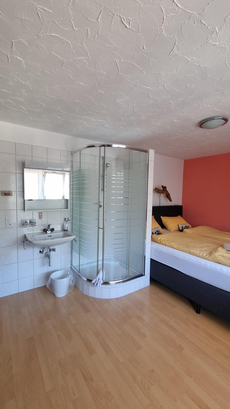 B&B - Hotel - Restaurant - Ferienwohnungen, Eigentumswohnungen (10)
