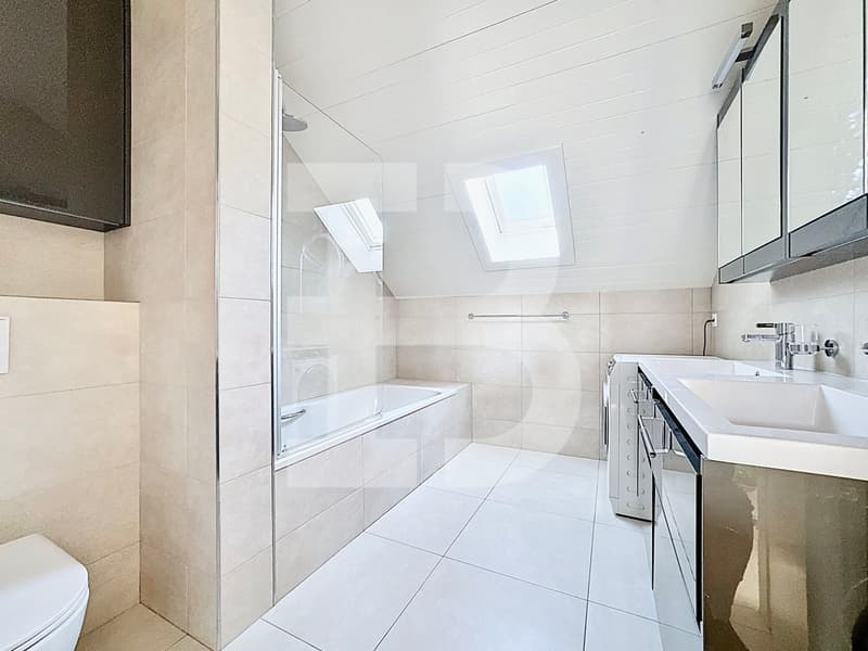 Charmant 3,5 pièces en attique 1 chambre - 1 mezzanine - 2 terrasses (10)