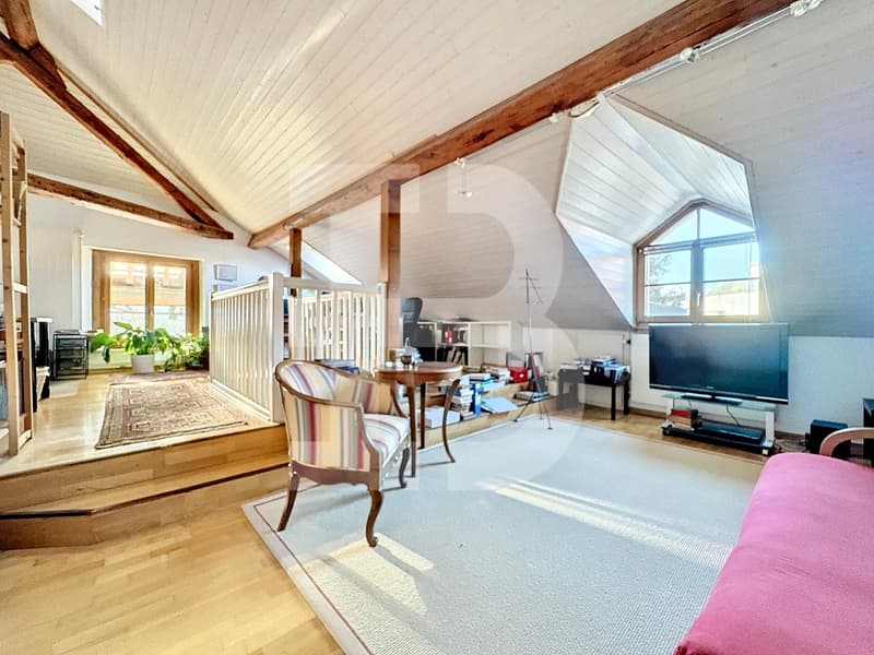 Magnifique corps de ferme au coeur du village de Bernex (10)