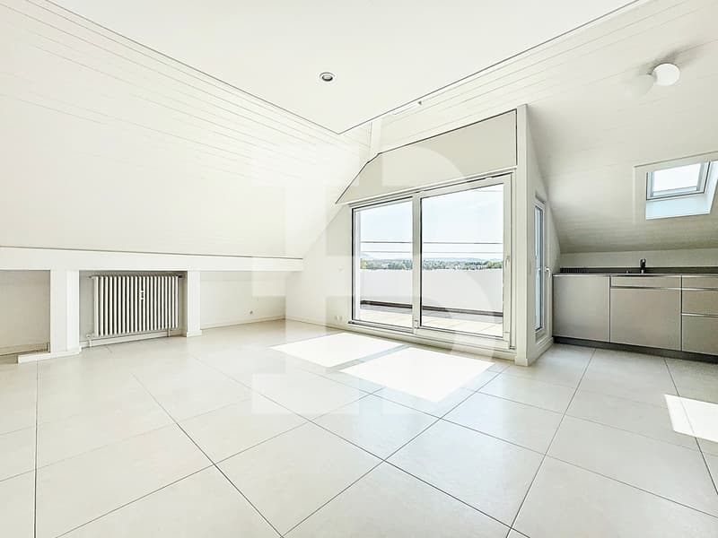 Charmant 3,5 pièces en attique 1 chambre - 1 mezzanine - 2 terrasses (3)