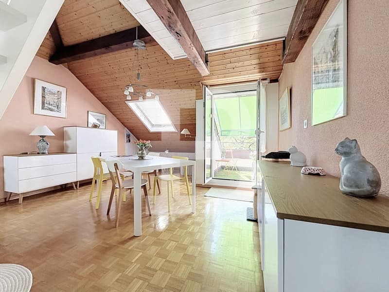 Charmant duplex en attique avec deux chambres (5)