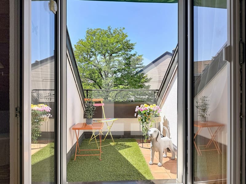 Charmant duplex en attique avec deux chambres (4)