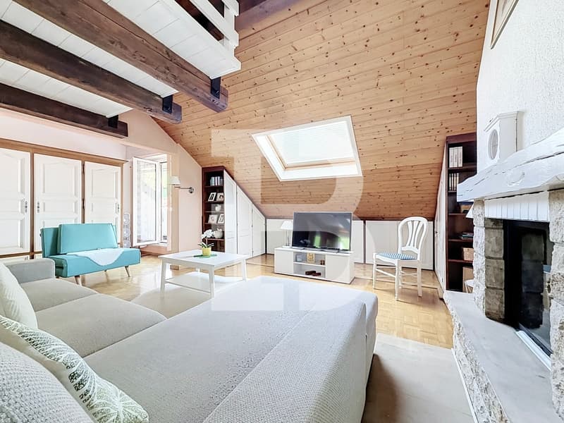 Charmant duplex en attique avec deux chambres (3)