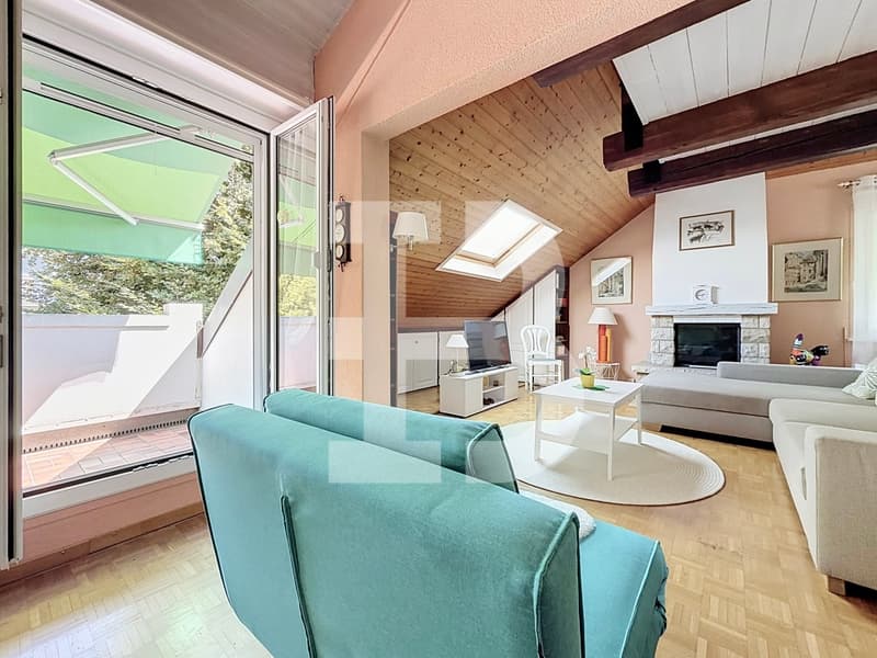 Charmant duplex en attique avec deux chambres (2)