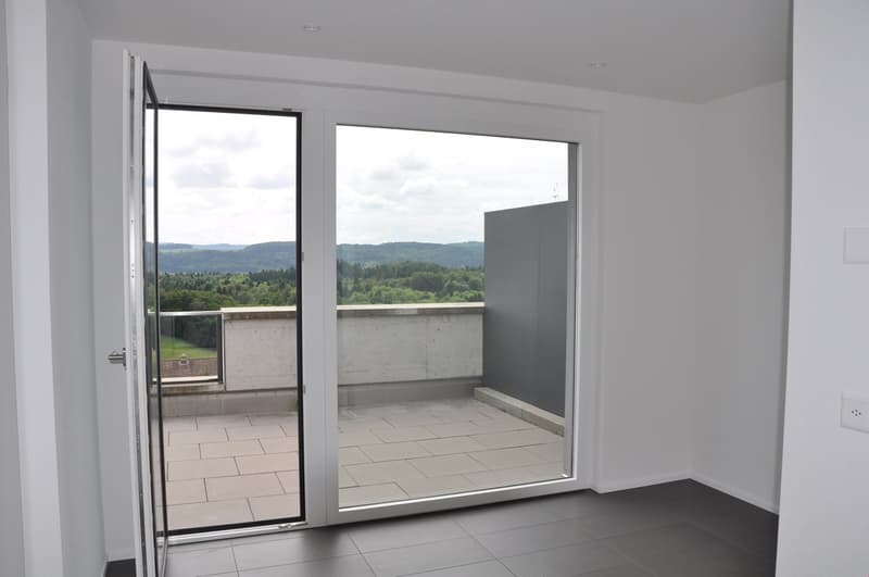 Exklusive grosse Terrassenwohnung - Wohnfläche 203 m2 (9)