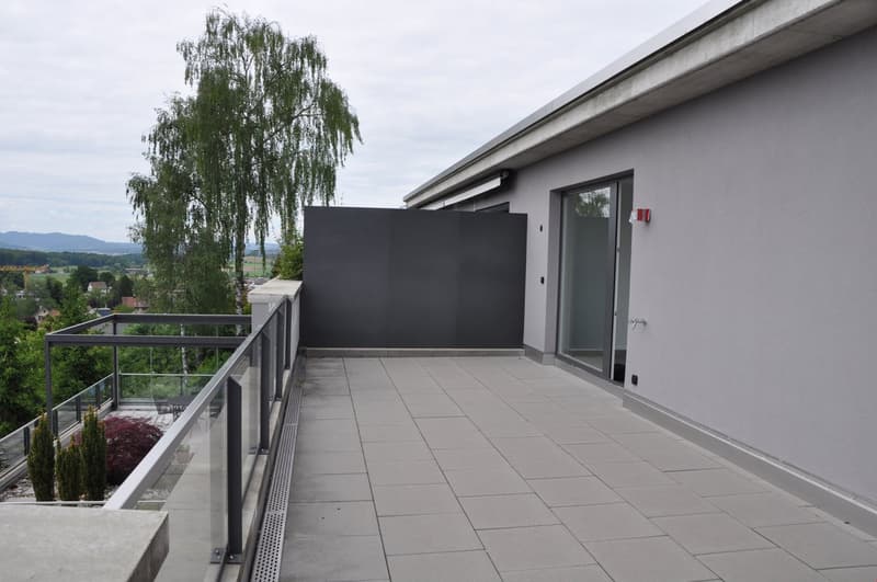 Exklusive grosse Terrassenwohnung - Wohnfläche 203 m2 (8)