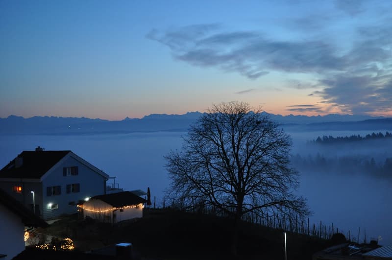 Exklusive grosse Terrassenwohnung - Wohnfläche 203 m2 (2)