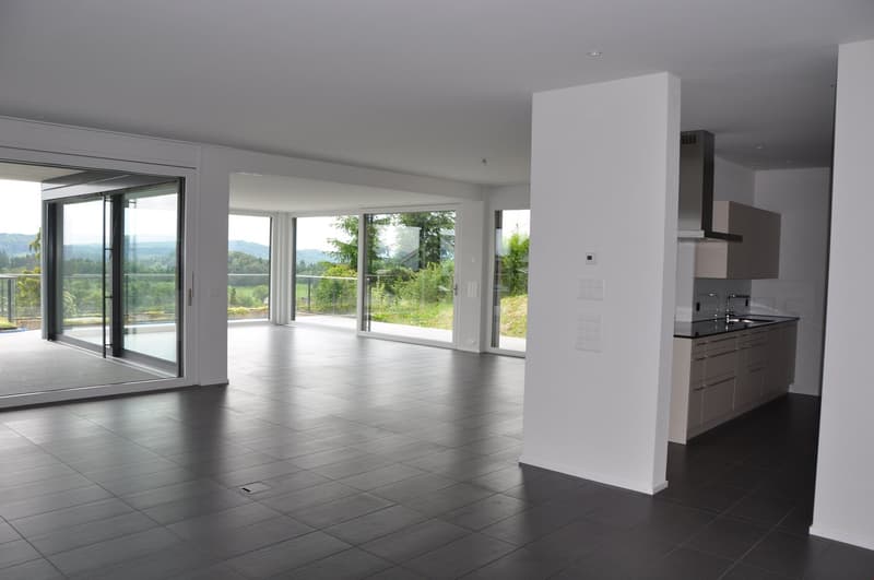 Exklusive grosse Terrassenwohnung - Wohnfläche 203 m2 (11)